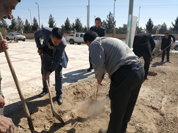 برگزاری آیین روز درختکاری در دامغان