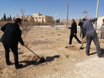 برگزاری آیین روز درختکاری در دامغان