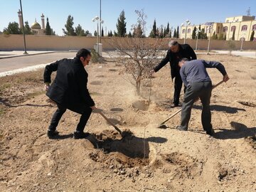 برگزاری آیین روز درختکاری در دامغان