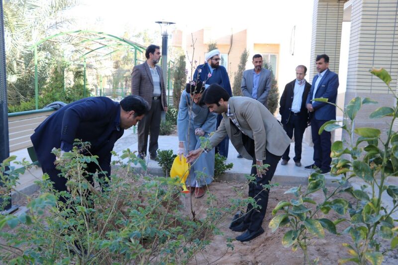 مسوولان اردکان، درخت کاشتند 