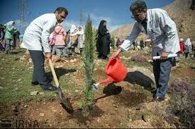 کاشت 40 هزار اصله نهال در پلدختر