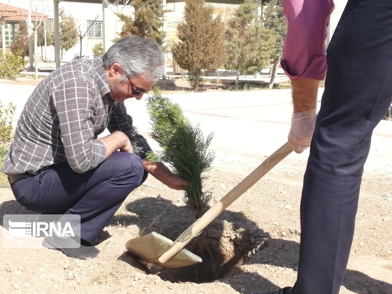 پویش «هر خانه، یک درخت» به مناسبت روز درختکاری در سمنان برگزار می‌شود