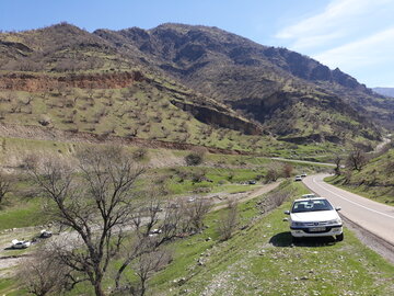 خودنمایی بهار در منطقه باینگان