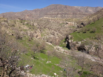 خودنمایی بهار در منطقه باینگان