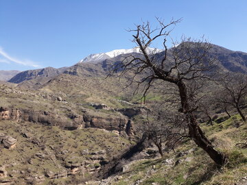 خودنمایی بهار در منطقه باینگان