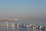 El sonido de la naturaleza en las costas de Bandar Abbas

