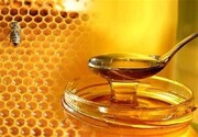 Иранские пчеловоды планируют собрать до 112 тысяч тонн меда