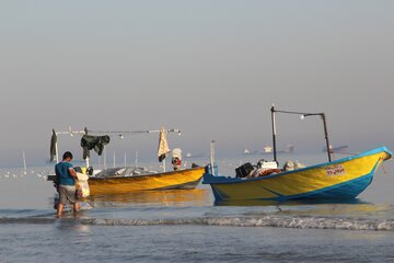 پرندگان ماهی خوار درساحل بندرعباس