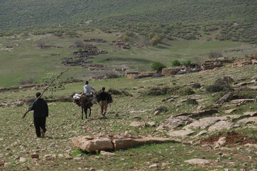 روز پدر