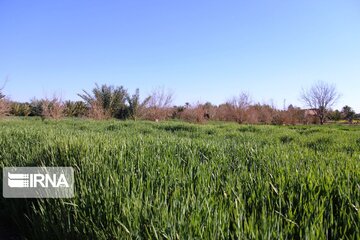 Spring comes sooner in central Iran