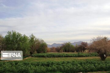 Spring comes sooner in central Iran