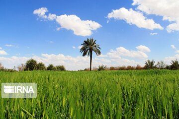 Spring comes sooner in central Iran