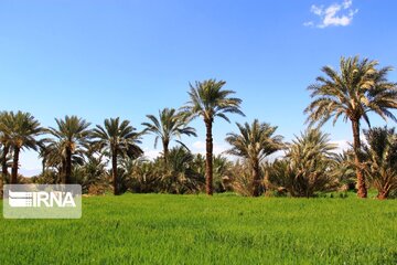 Spring comes sooner in central Iran