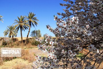 Spring comes sooner in central Iran