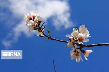 Spring comes sooner in central Iran