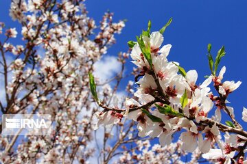 Spring comes sooner in central Iran