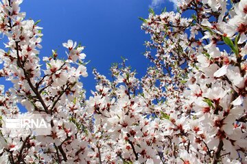 Spring comes sooner in central Iran