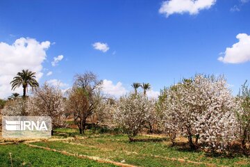 Spring comes sooner in central Iran