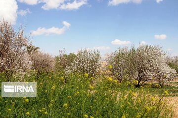 Spring comes sooner in central Iran