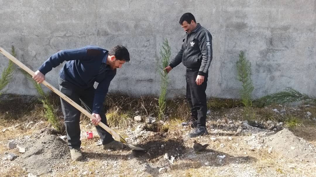 ۲۰ هزار اصله نهال در قیامدشت کاشته می‌شود