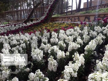 Spring welcomed in north-central Iran