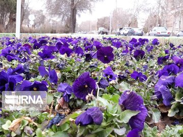 Spring welcomed in north-central Iran