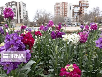 Spring welcomed in north-central Iran