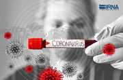 Iran does 6,000 coronavirus test a day