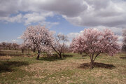 روستاهای خراسان شمالی قربانی خودخواهی گردشگران