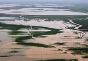 سیلاب به هزار و ۳۵۰ هکتار اراضی کشاورزی کلاله و گالیکش خسارت وارد کرد