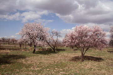 روستاهای خراسان شمالی قربانی خودخواهی گردشگران