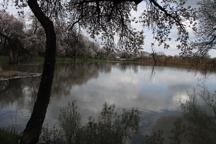 آب، راه و امنیت، سه چالش باغستان سنتی شهر قزوین 2