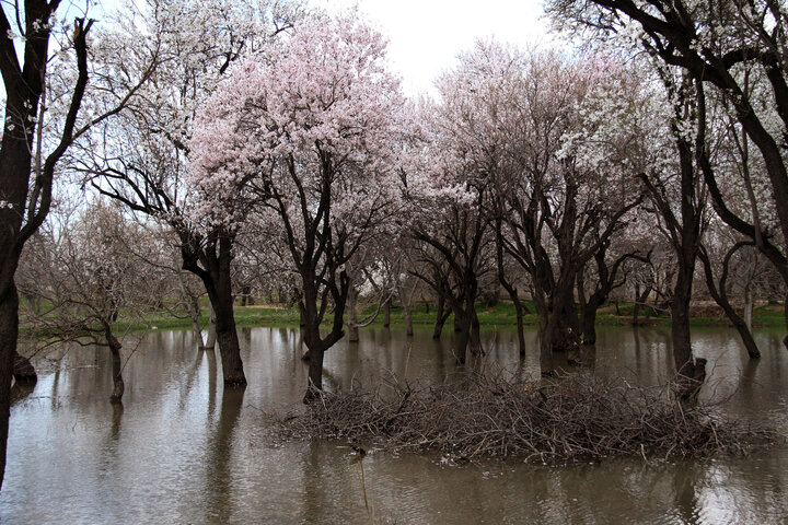 آب، راه و امنیت، سه چالش باغستان سنتی شهر قزوین 5