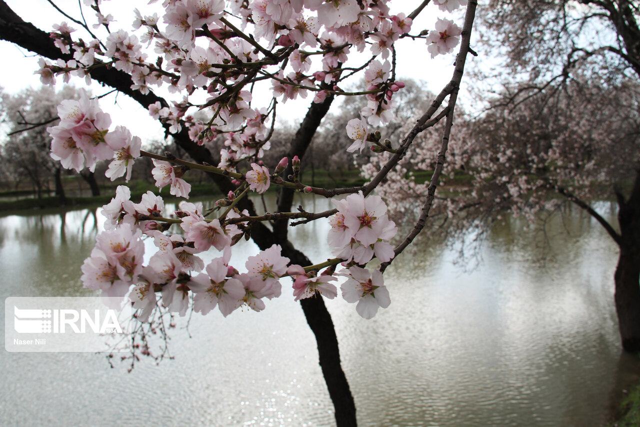 آب، راه و امنیت، سه چالش باغستان سنتی شهر قزوین