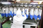 راه‌اندازی چهار واحد تولید دستکش در همدان 