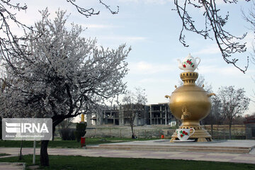 Sound of Spring in Borujerd Western Iran