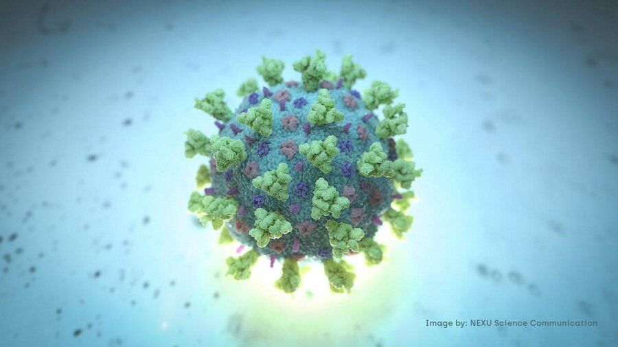 Coronavirus: 65 weitere Todesfälle im Iran Coronavirus: 65 weitere Todesfälle im Iran