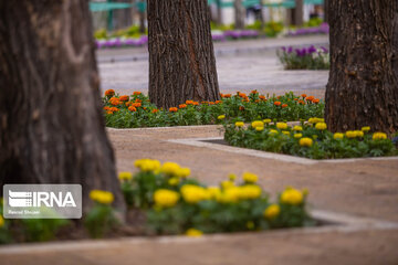 Isfahan's Chahar Bagh Historical avenue in the time of Coronavirus