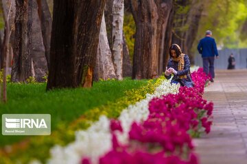 Isfahan's Chahar Bagh Historical avenue in the time of Coronavirus