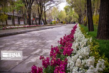 Isfahan's Chahar Bagh Historical avenue in the time of Coronavirus