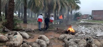 رودبار جنوب کرمان در محاصره سیلاب