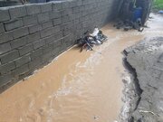 سیلاب سنگی به پای لنگ روزگار کرونایی کرمان