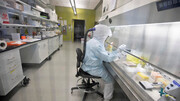 آزمایشگاه مرجع ویروس کرونا در نیشابور راه‌اندازی شد