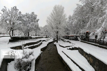 Snowfall in spring in north, west of Iran