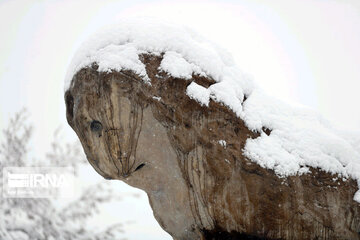 Snowfall in spring in north, west of Iran