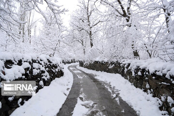 Snowfall in spring in north, west of Iran