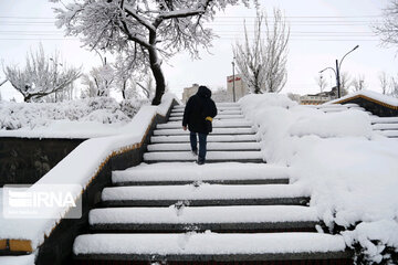 Snowfall in spring in north, west of Iran