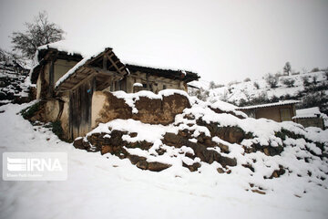 Snowfall in spring in north, west of Iran