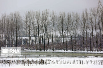 Snowfall in spring in north, west of Iran