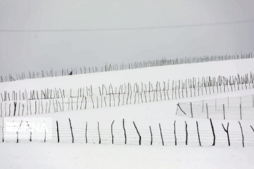 Snowfall in spring in north, west of Iran